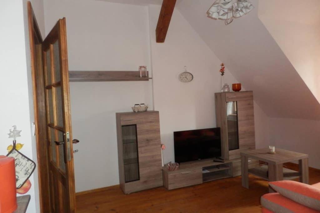 Zamecek Zdiky - Moderni Velky Apartman Bujanov Εξωτερικό φωτογραφία